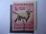 Stamps : Africa : South_Africa :  fauna-South Africa.