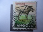 Sellos de Africa - Angola -  Cebra Montañera - Equus (Hippotigris) Hartmannae.