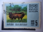 Sellos de Asia - Sri Lanka -  Fauna: Buffalo.