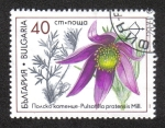 Stamps Bulgaria -  Flora