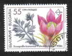 Stamps Bulgaria -  Flora