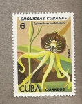 Sellos de America - Cuba -  Orquideas cubanas