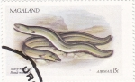 Stamps Asia - Nagaland -  peces