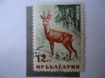 Stamps Bulgaria -  Fauna.
