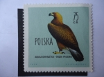 Stamps : Europe : Poland :  Águila Dorada- Aquila Chrysaëtos.