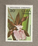 Sellos del Mundo : America : Cuba : Orquideas cubanas