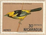 Sellos del Mundo : America : Nicaragua : Nicaraguan Birds - Chichilote