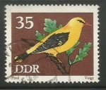 Sellos del Mundo : Europa : Alemania : Golden Oriole (1581)