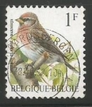Stamps : Europe : Belgium :  Carduelis flammea (2513)