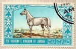 Stamps : Asia : Jordan :  Arabian stallion (691)