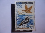 Stamps France -  Saint-Pierre et Miquelon - Somateria Mollissima.
