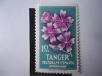 Stamps Spain -  Tánger Beneficencia de los Huérfanos de Telégrafo-Ciudad de Tánger-Marruecos.Flora.