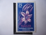 Stamps Spain -  Beneficencia huérfanos de Telégrafo -Tánger-Marrueco- Flora
