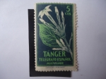 Sellos de Europa - Espaa -  Beneficencia huérfanos de Telégrafo -Tánger-Marruecos - Fauna