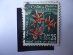 Stamps : Asia : Sri_Lanka :  Flora.