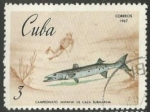 Stamps Cuba -  Barracuda (1349)