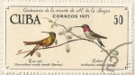 Sellos de America - Cuba -  Zun sun y Colibrí (1744)
