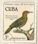 Stamps Cuba -  Carpintero churroso (1741)
