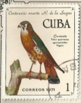 Stamps Cuba -  Cernícalo (1737)