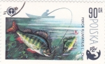 Stamps Poland -  pesca PZW pesca fluvial