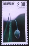 Stamps : Europe : Denmark :  Amapola Silvestre