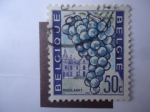 Stamps Belgium -  Hoeilaart.