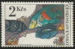 Stamps Czechoslovakia -  Pomacanthodes (2261)