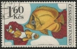 Stamps Czechoslovakia -  Korálovka (2260)