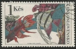 Stamps Czechoslovakia -  Bojovnice pestrá (2258)