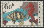 Stamps Czechoslovakia -  Koník mořský (2257)