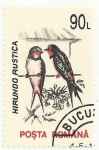 Stamps Romania -  PÁJAROS. GOLONDRINA COMÚN. Hirundo rustica. YVERT RO 4072