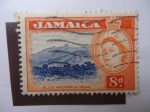 Stamps : America : Jamaica :  Elizabeth II -Blue Mountain Pear.
