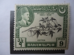 Stamps : Asia : Pakistan :  Algodón-Cotton - Silver-Jubilee 1924-1949