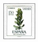 Stamps : Europe : Spain :  Sahara Pro Infancia