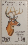 Stamps Mexico -  venado bura