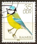 Stamps Germany -  Los pájaros cantores(Tit azul)DDR.