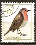 Sellos de Europa - Alemania -  Los pájaros cantores(Petirrojos)DDR.