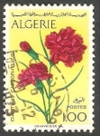 Sellos de Africa - Argelia -  570 - Flor