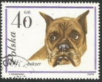 Stamps Poland -  Boxer (1363)