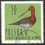 Stamps Poland -  Black-tailed godwit (1485)