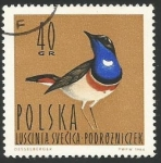 Sellos del Mundo : Europa : Polonia : White-spotted bluethroat (1484)