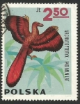 Stamps Poland -  Archaeopteryx (1653)