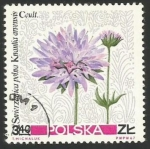 Stamps Poland -  Field scabious (1782)