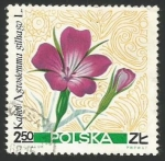 Stamps Poland -  Corn cockle (1781)