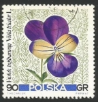 Stamps : Europe : Poland :  Viola tricolor (1779)