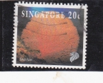 Stamps Singapore -  abanico de mar