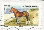 Stamps : Europe : Norway :  Cob Normando