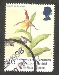 Stamps United Kingdom -  Especie en vias de desaparición, cypripedium calceolus