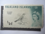 Stamps United Kingdom -  Falkland Islands Thrush.(Pájaro Tordo)