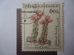 Stamps : Europe : Czechoslovakia :  Flora.